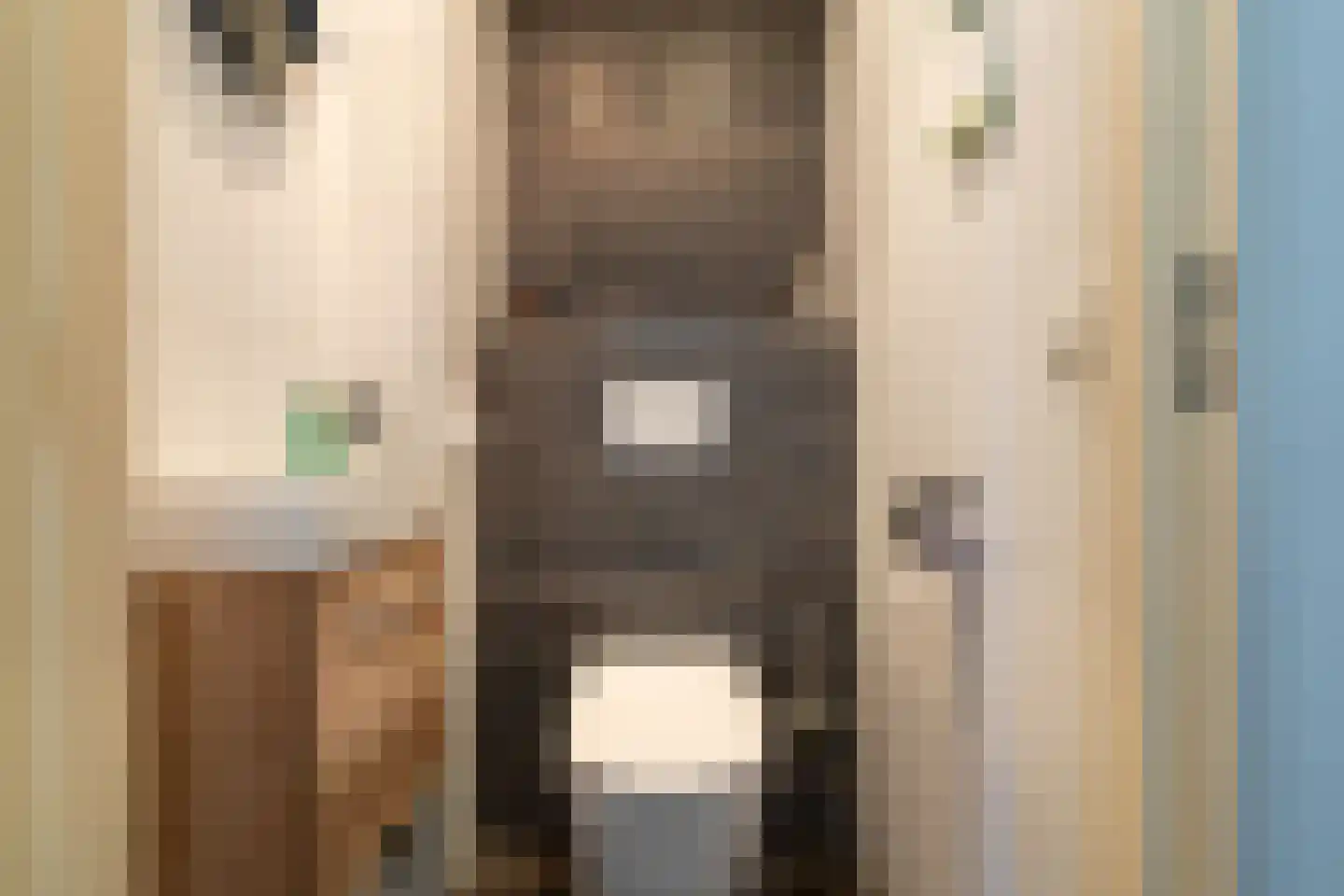 Willem de Zwijgerstraat 3 Sprang-Capelle thumbnail 9