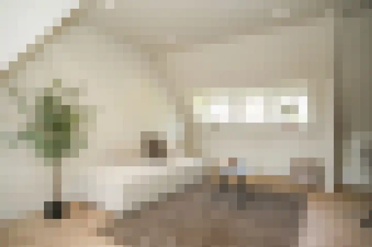 Willem de Zwijgerstraat 31 B Eindhoven thumbnail 8
