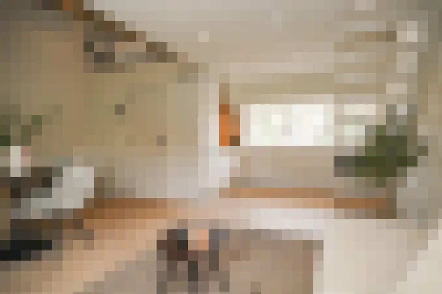 Willem de Zwijgerstraat 31 B Eindhoven thumbnail 9