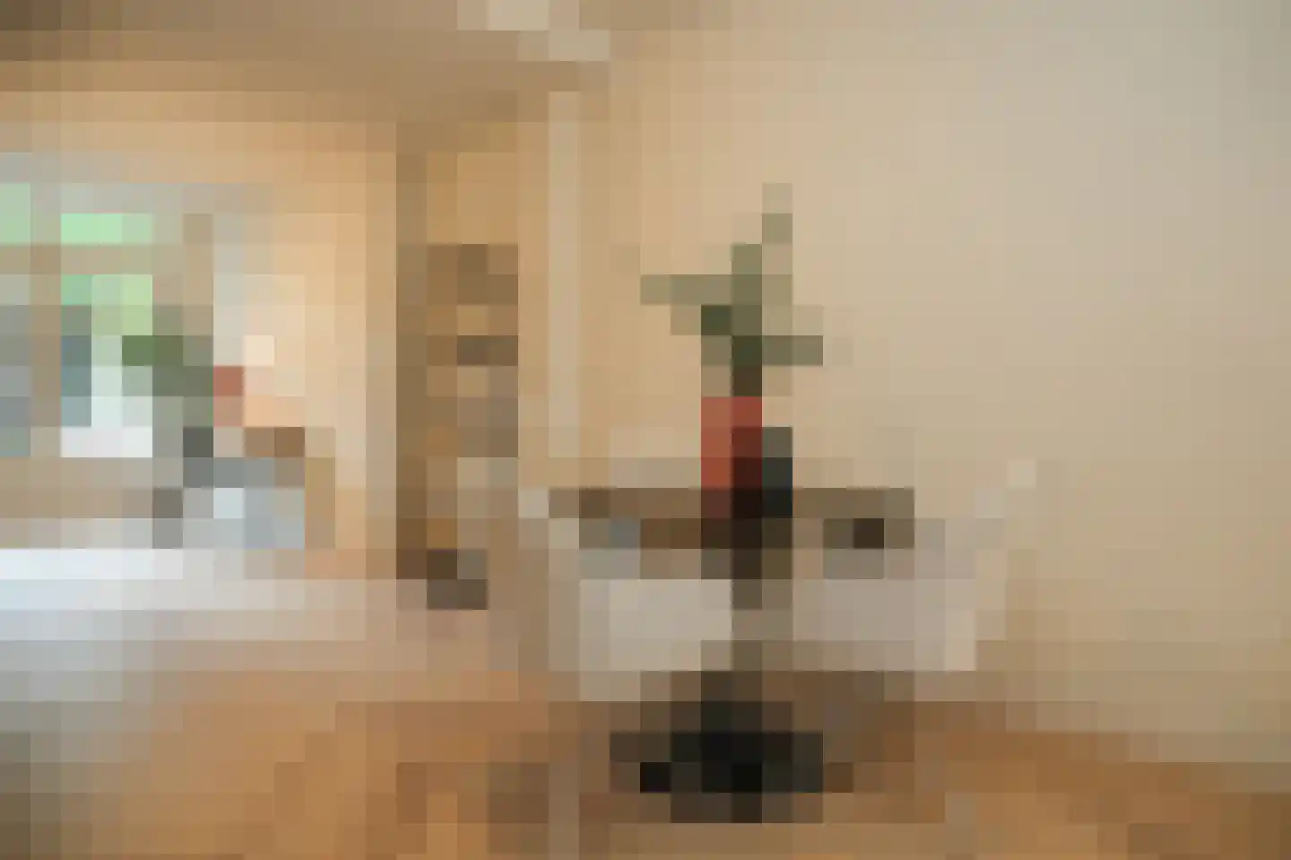 Willem de Zwijgerstraat 31 Eindhoven thumbnail 13