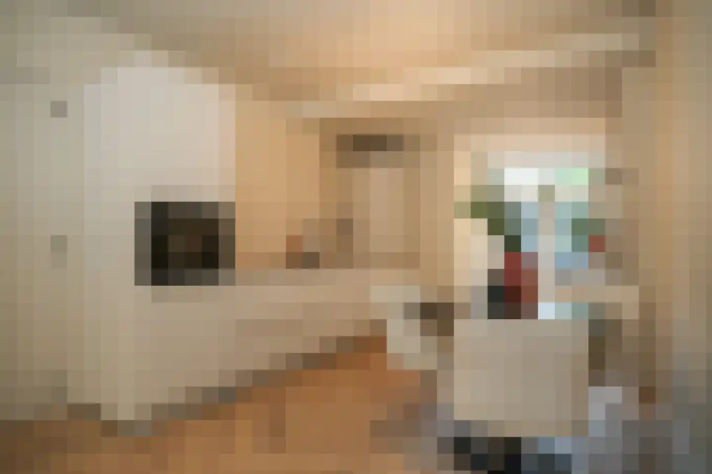 Willem de Zwijgerstraat 31 Eindhoven thumbnail 14