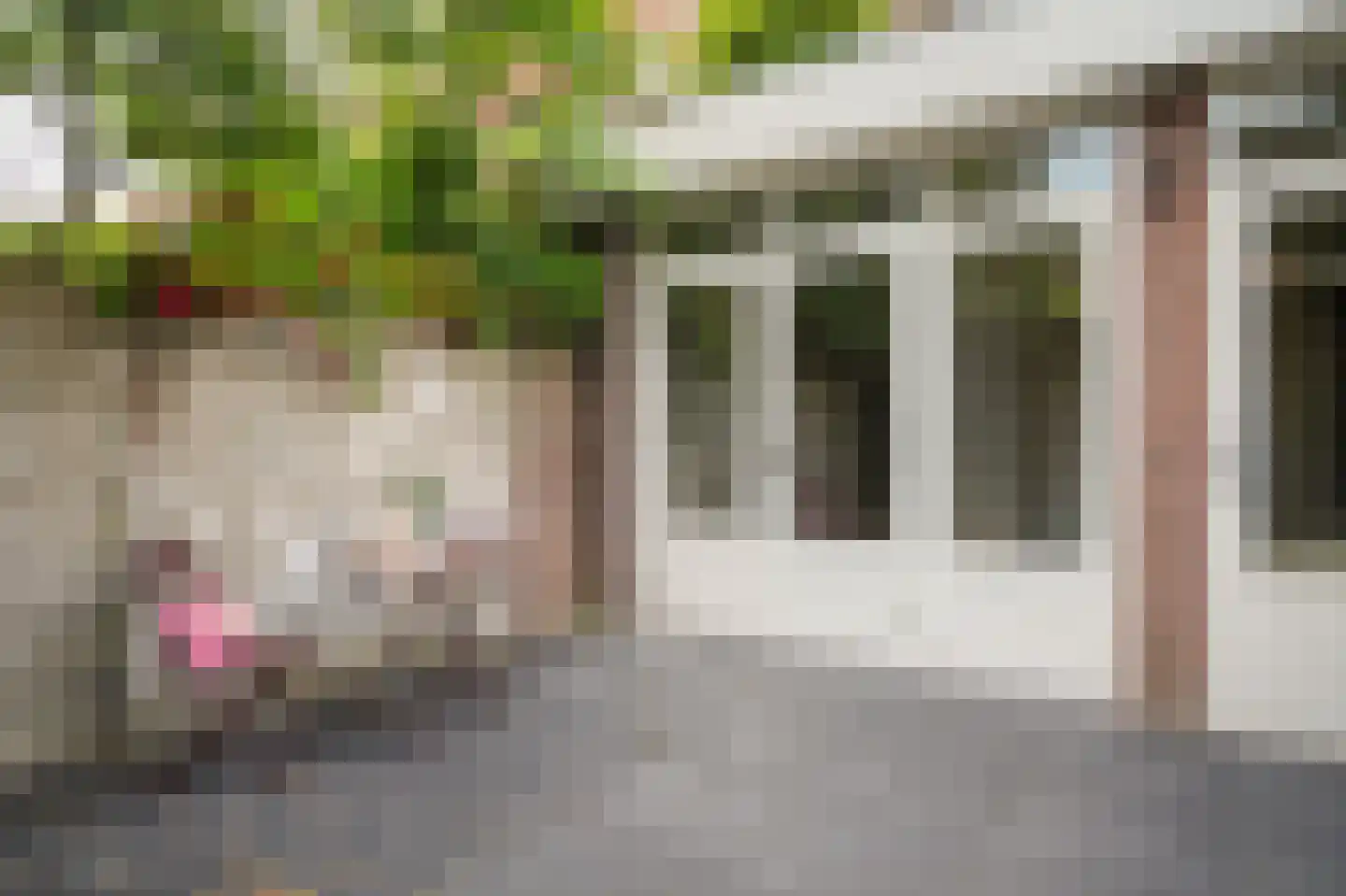 Willem de Zwijgerstraat 31 Eindhoven thumbnail 33