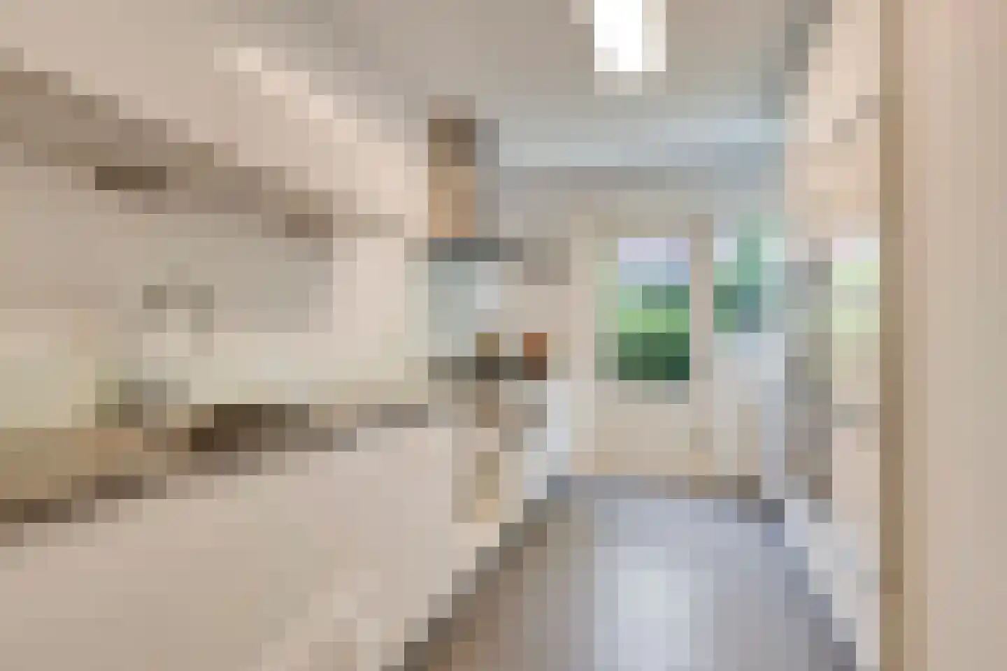 Willem de Zwijgerstraat 34 Eindhoven thumbnail 14