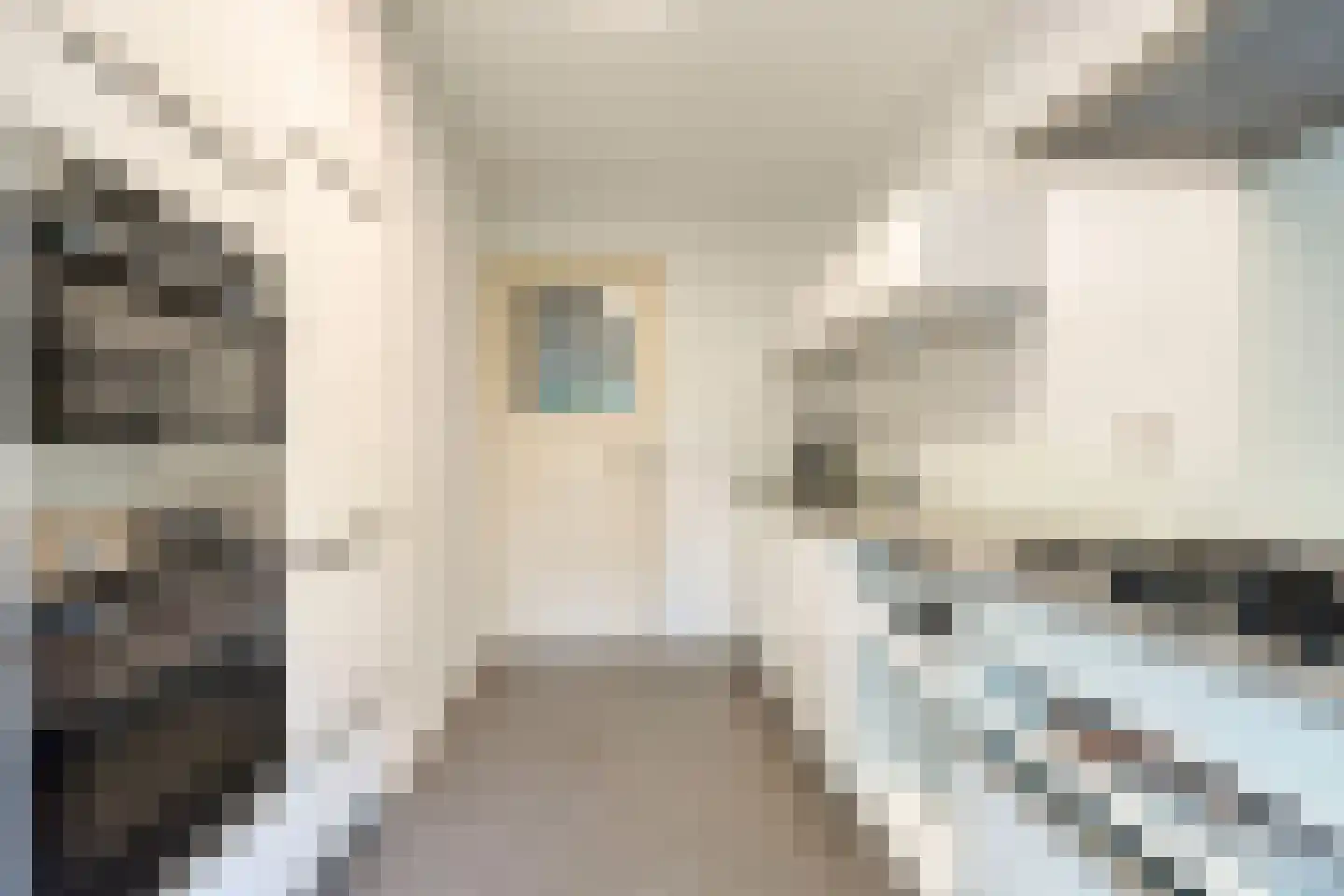 Willem de Zwijgerstraat 34 Eindhoven thumbnail 16