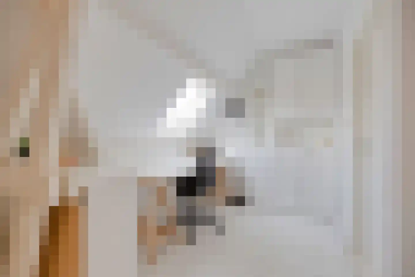 Willem de Zwijgerstraat 34 Eindhoven thumbnail 31