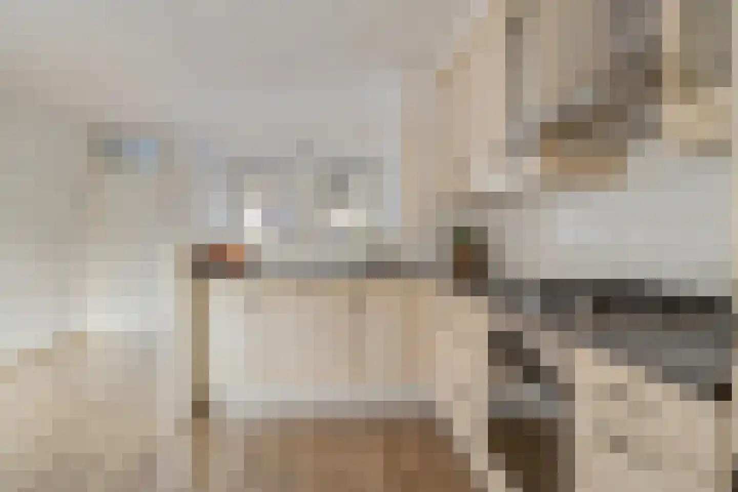 Willem de Zwijgerstraat 34 Sneek thumbnail 18