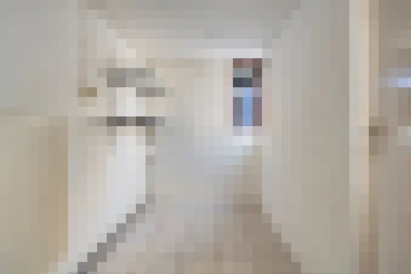 Willem de Zwijgerstraat 34 Sneek thumbnail 20