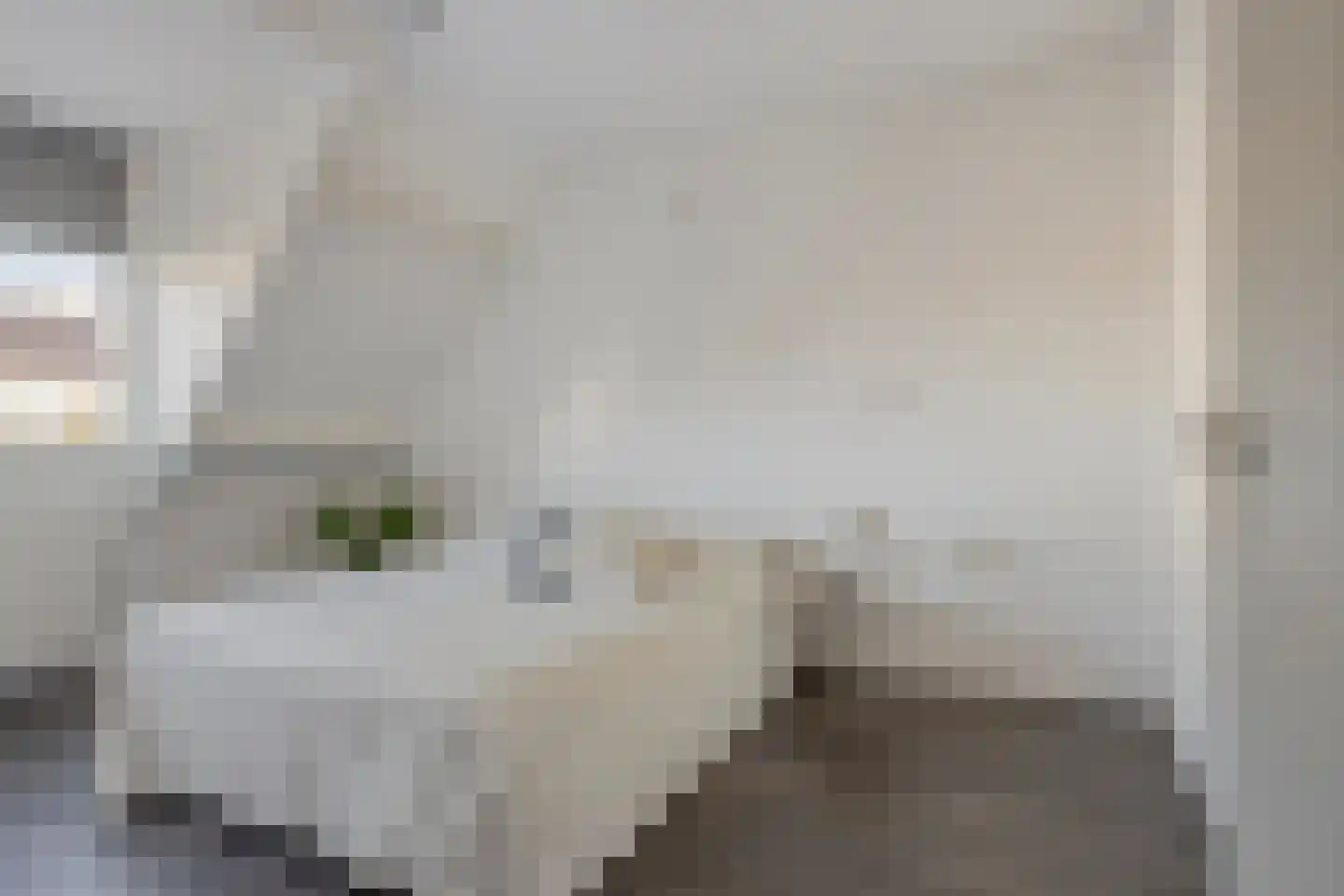 Willem de Zwijgerstraat 34 Sneek thumbnail 23