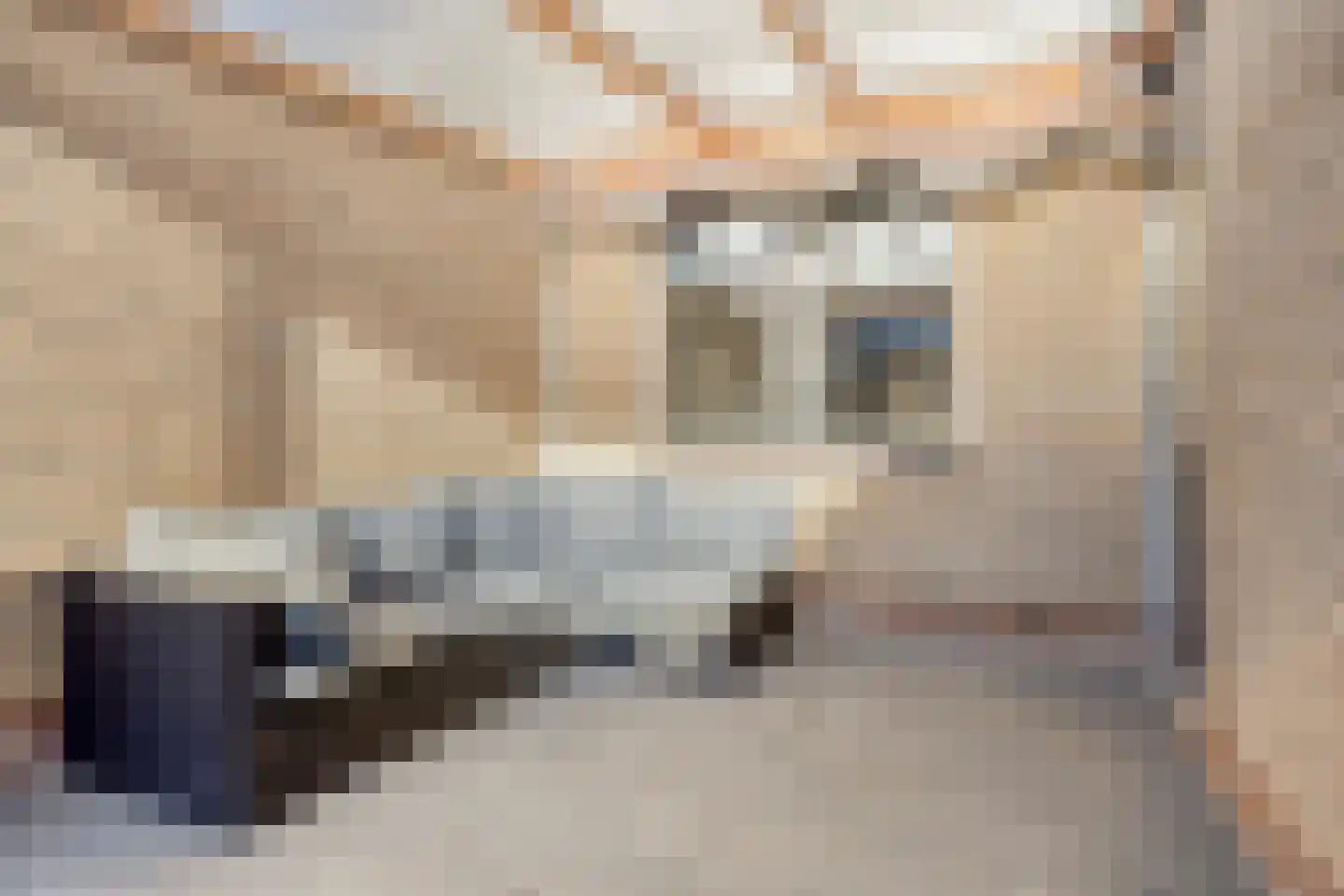 Willem de Zwijgerstraat 34 Sneek thumbnail 31