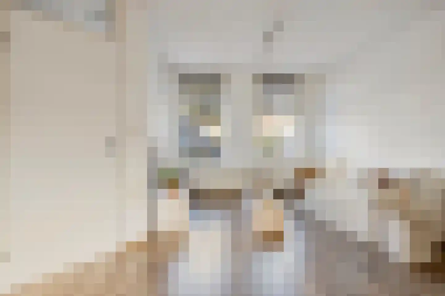 Willem de Zwijgerstraat 34 Sneek thumbnail 5