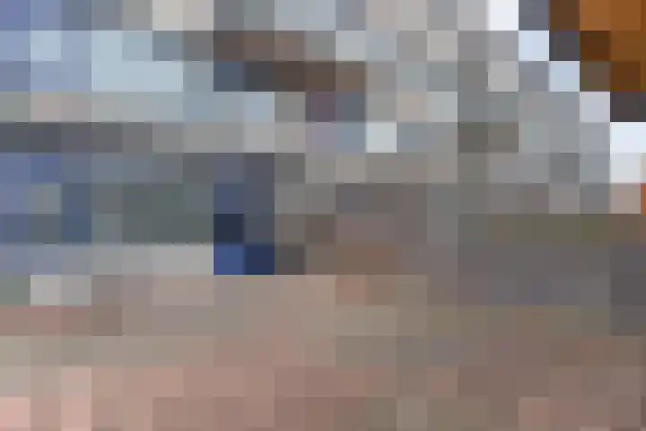 Willem de Zwijgerstraat 36 Hendrik-Ido-Ambacht thumbnail 32