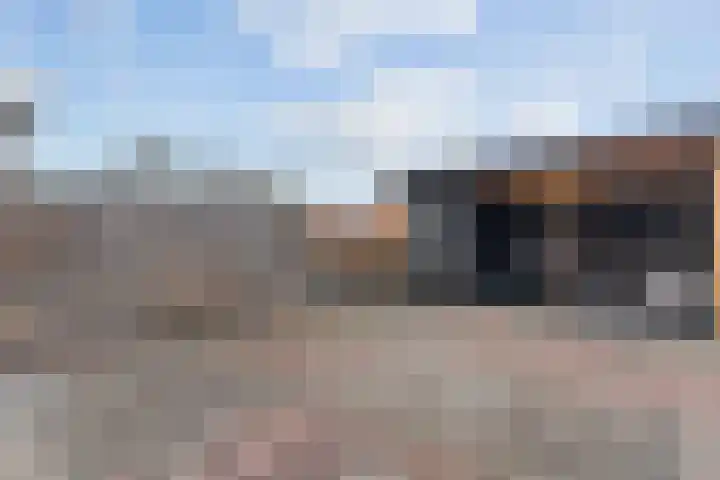Willem de Zwijgerstraat 36 Hendrik-Ido-Ambacht thumbnail 35