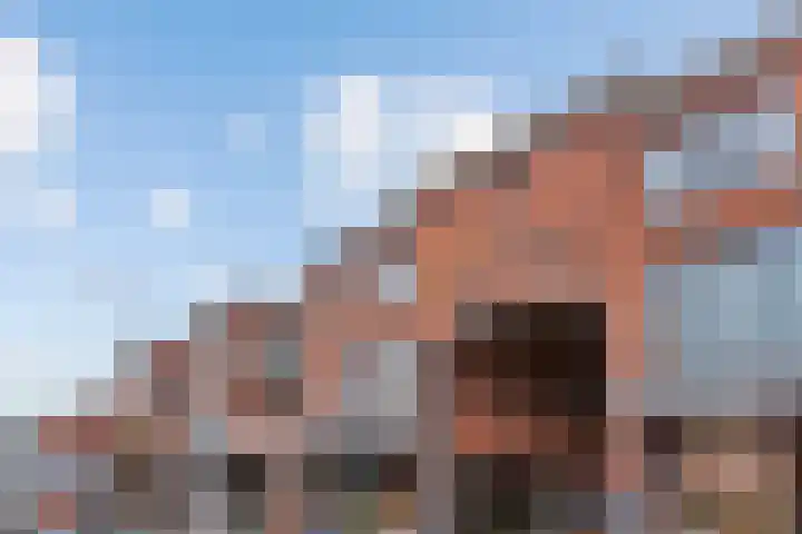 Willem de Zwijgerstraat 36 Hendrik-Ido-Ambacht thumbnail 38
