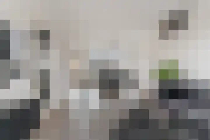 Willem de Zwijgerstraat 36 Hendrik-Ido-Ambacht thumbnail 6