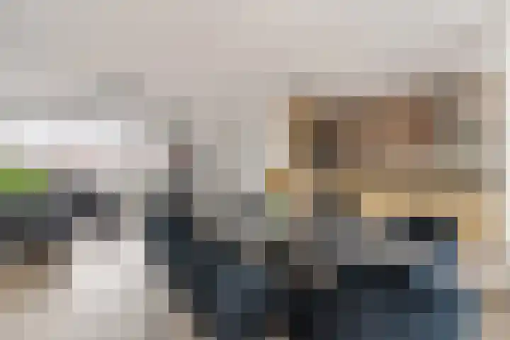 Willem de Zwijgerstraat 36 Hendrik-Ido-Ambacht thumbnail 7