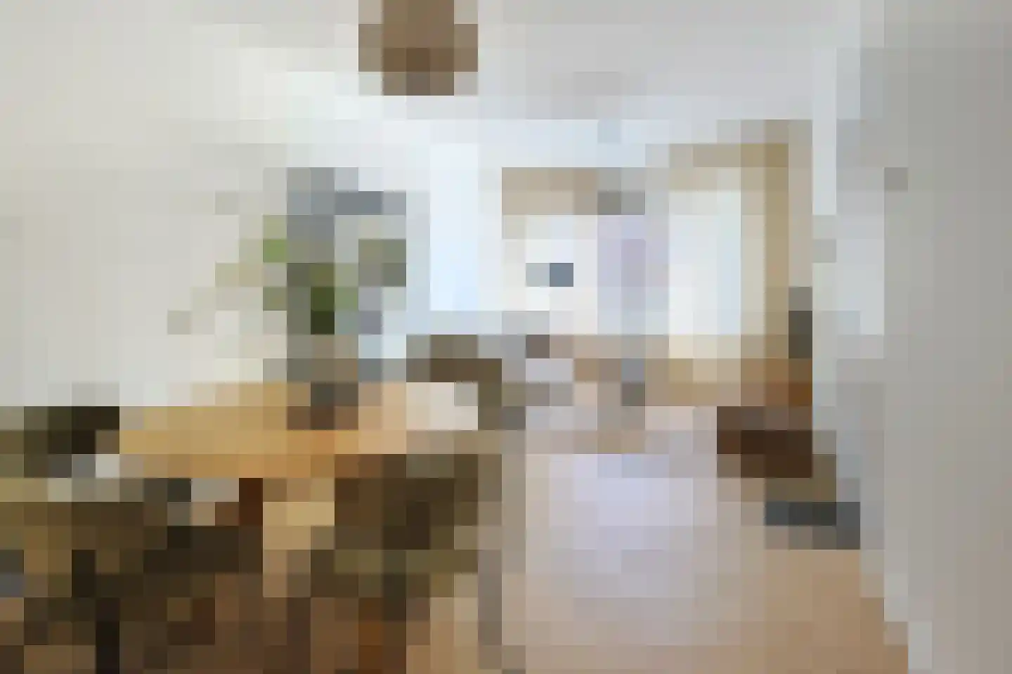 Willem de Zwijgerstraat 4 Eindhoven thumbnail 10