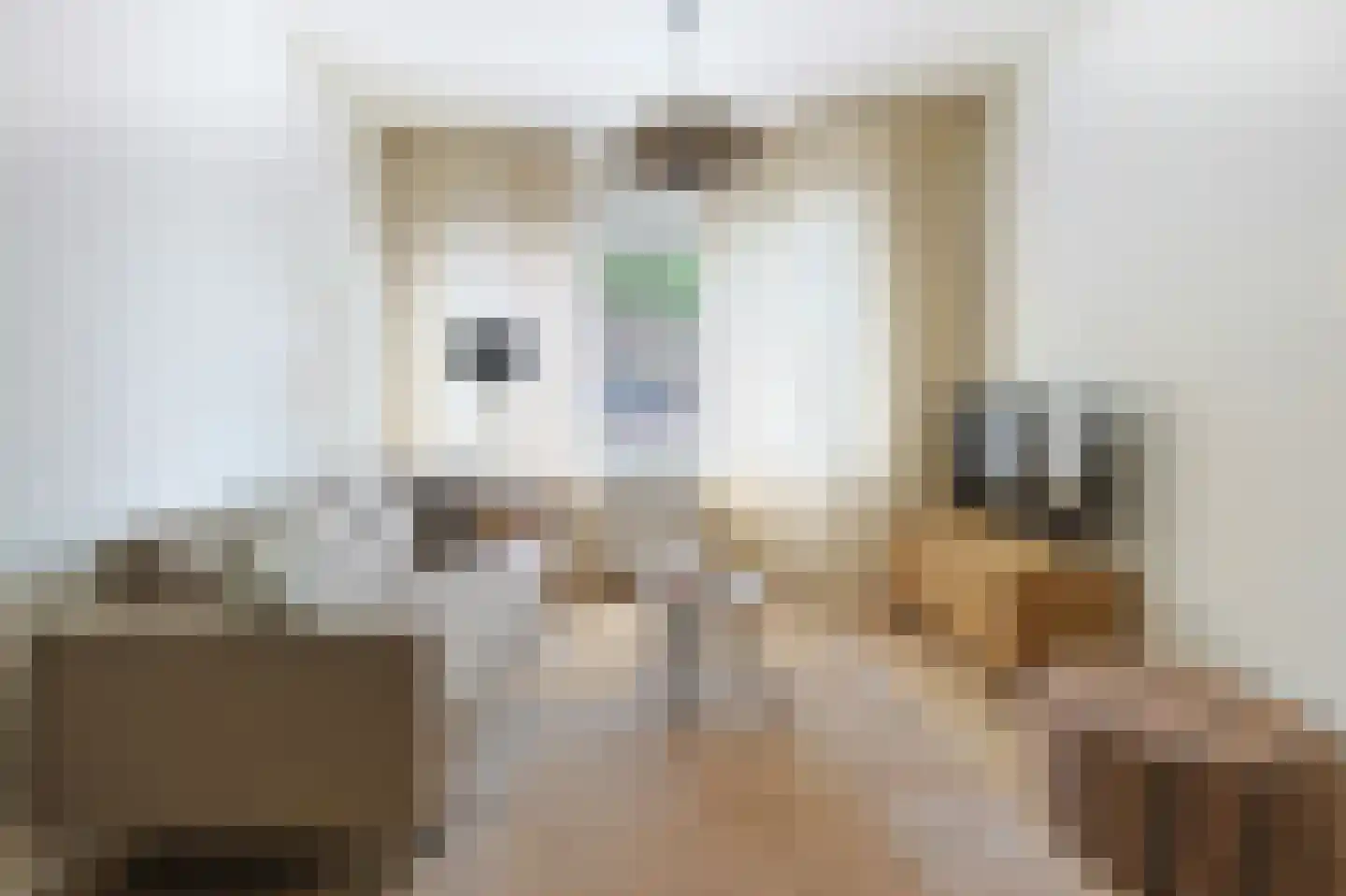 Willem de Zwijgerstraat 4 Eindhoven thumbnail 11