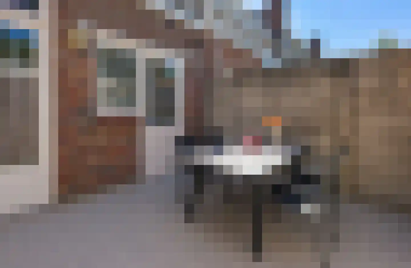 Willem de Zwijgerstraat 4 Eindhoven thumbnail 30
