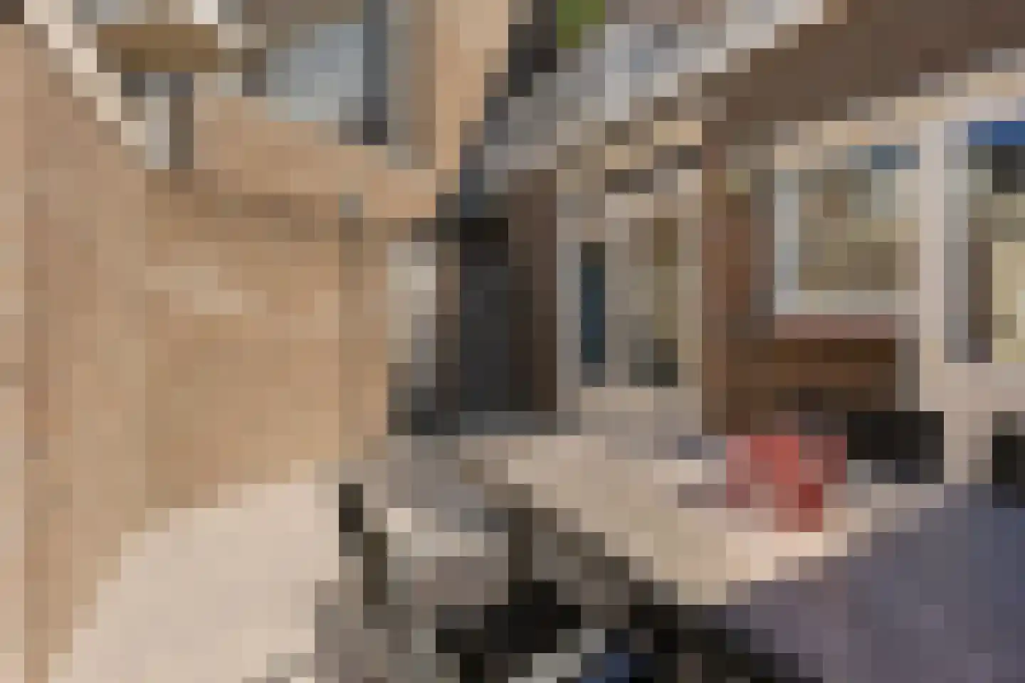 Willem de Zwijgerstraat 4 Eindhoven thumbnail 31