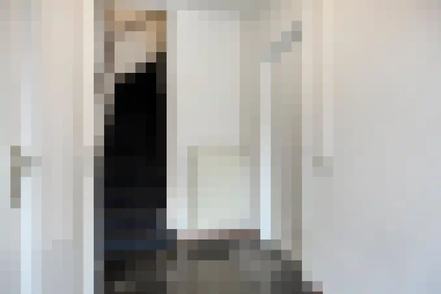 Willem de Zwijgerstraat 4 Eindhoven thumbnail 7