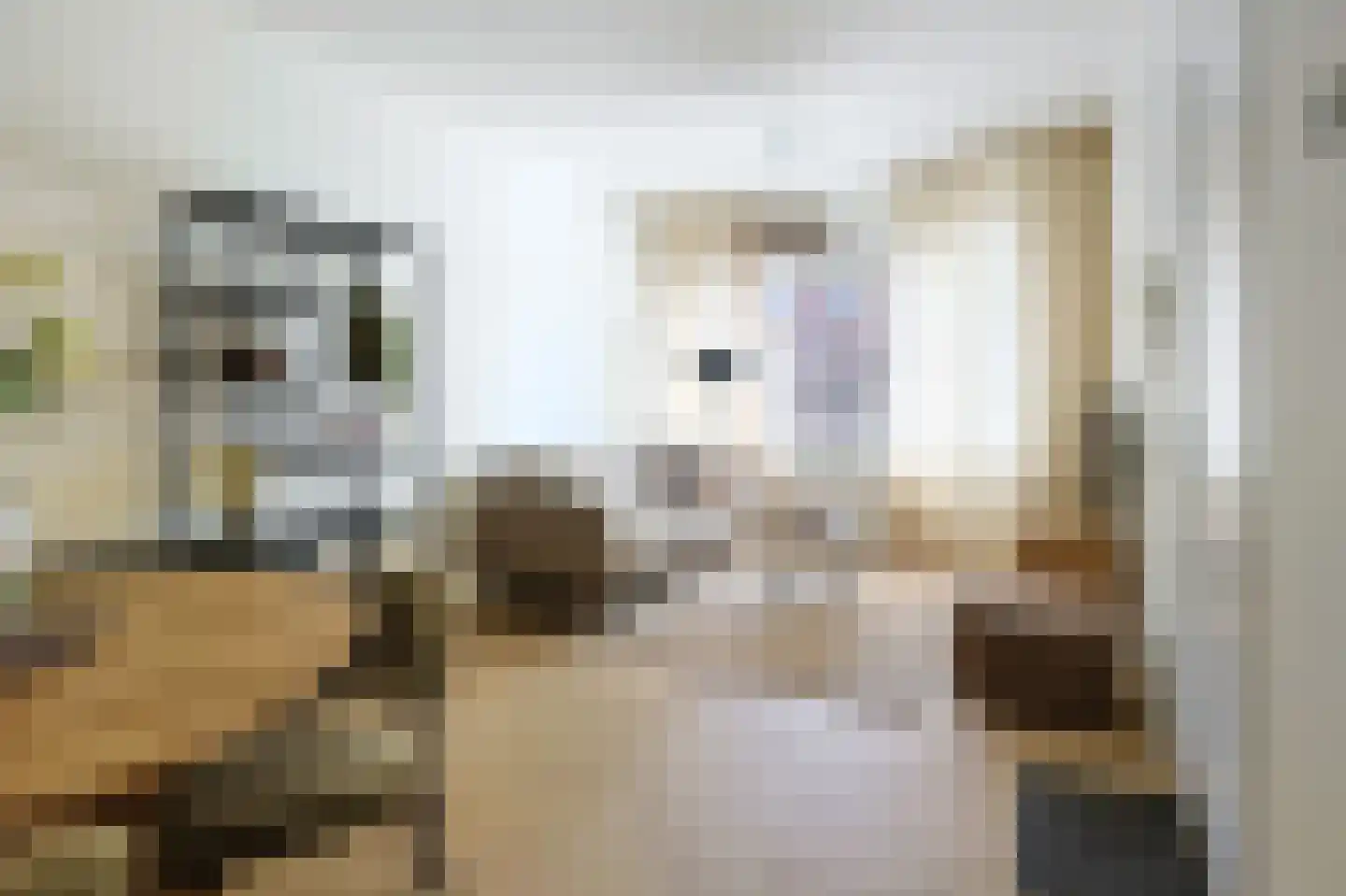 Willem de Zwijgerstraat 4 Eindhoven thumbnail 8