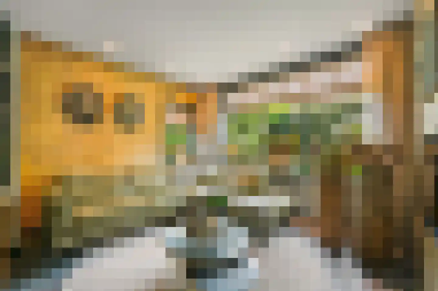 Willem de Zwijgerstraat 41 Maassluis thumbnail 10