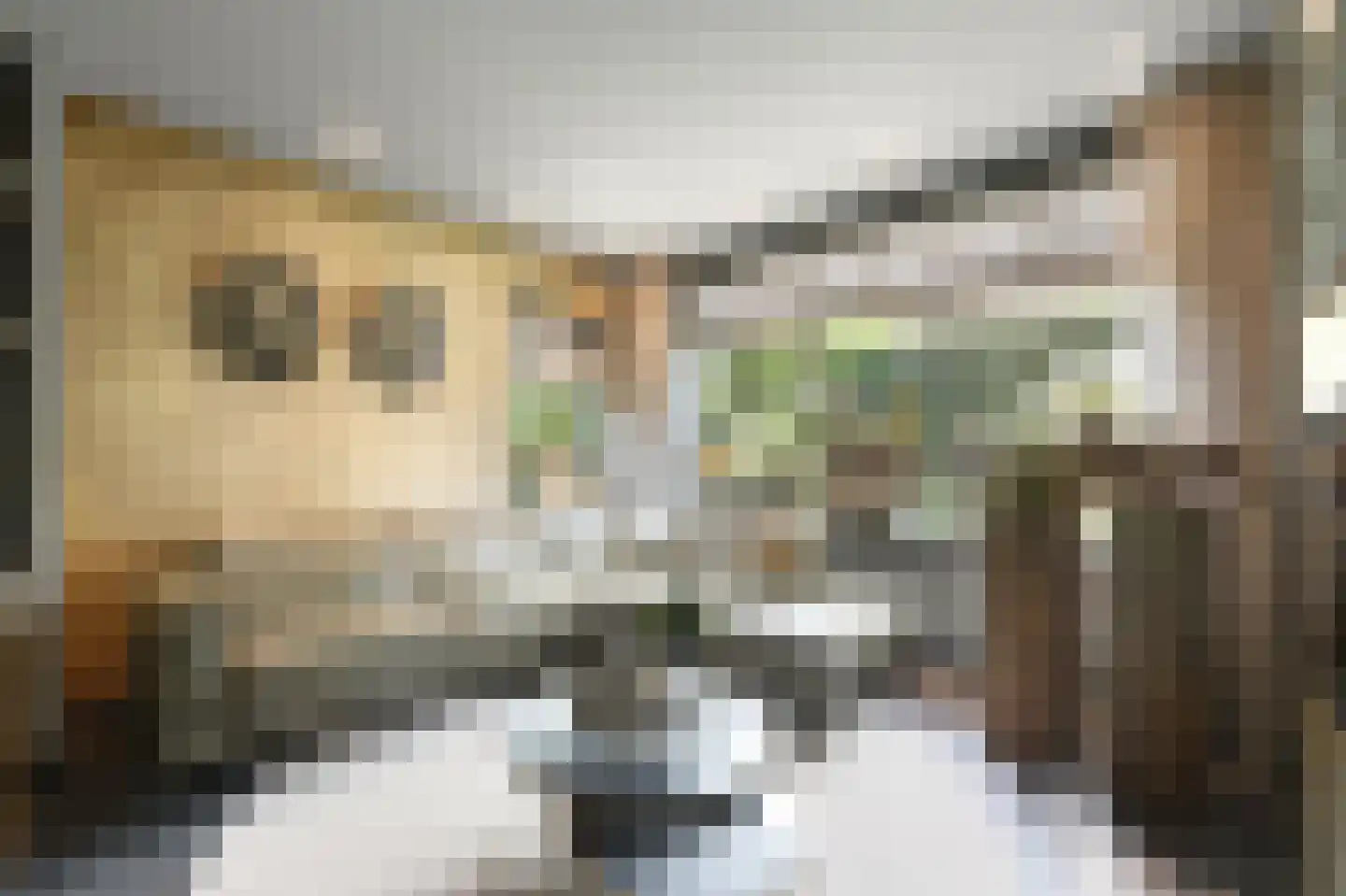 Willem de Zwijgerstraat 41 Maassluis thumbnail 10