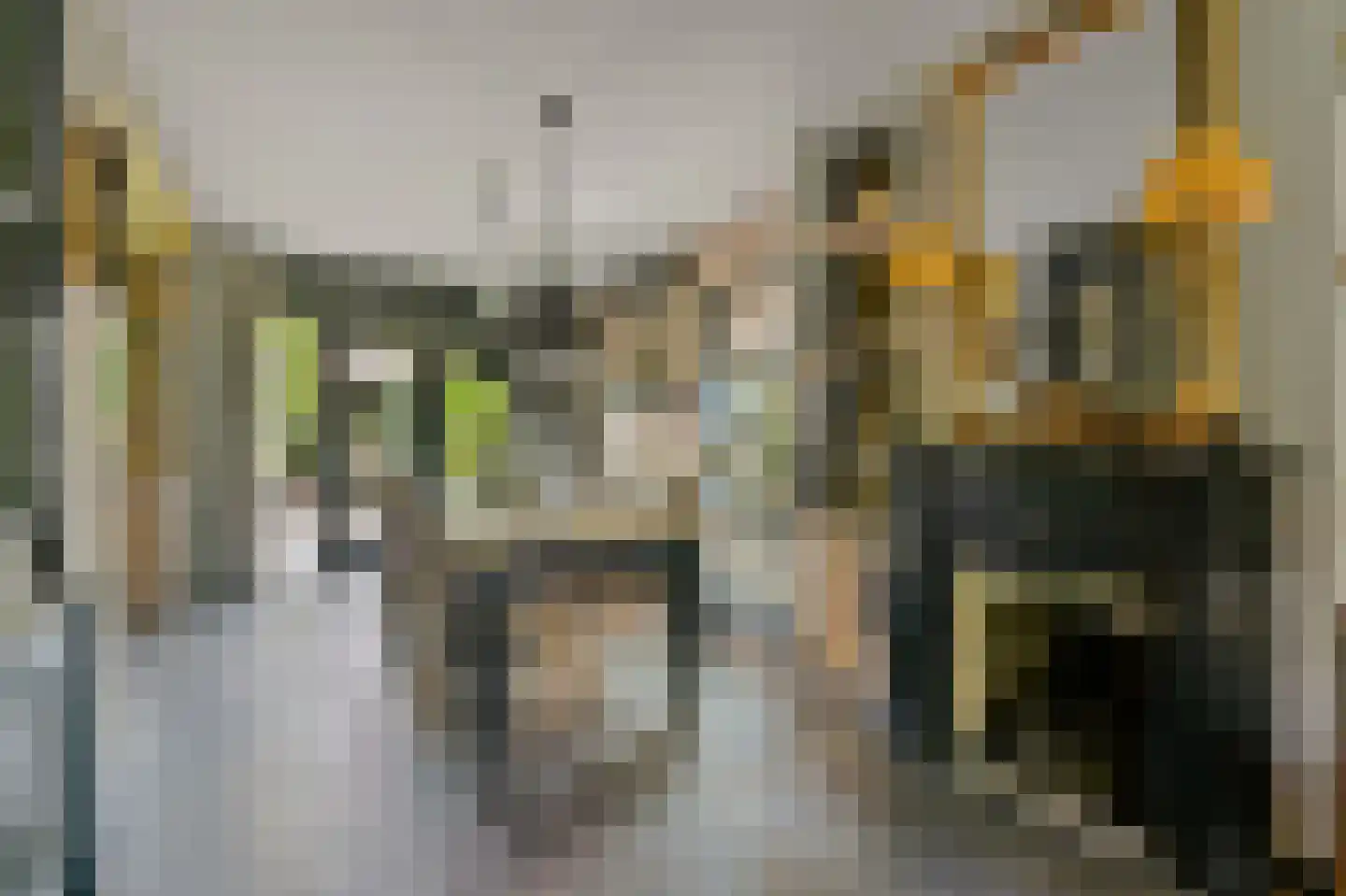Willem de Zwijgerstraat 41 Maassluis thumbnail 13