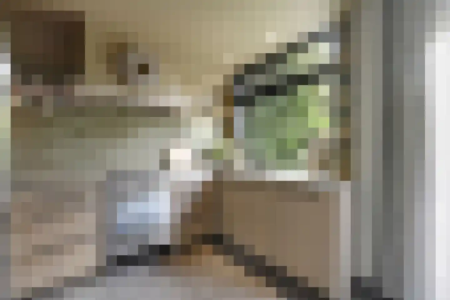 Willem de Zwijgerstraat 41 Maassluis thumbnail 15