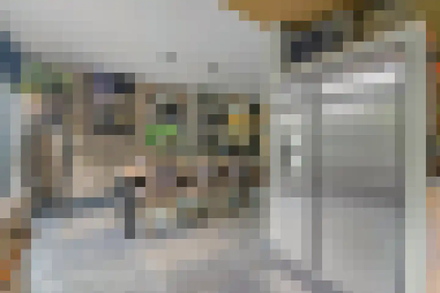 Willem de Zwijgerstraat 41 Maassluis thumbnail 16