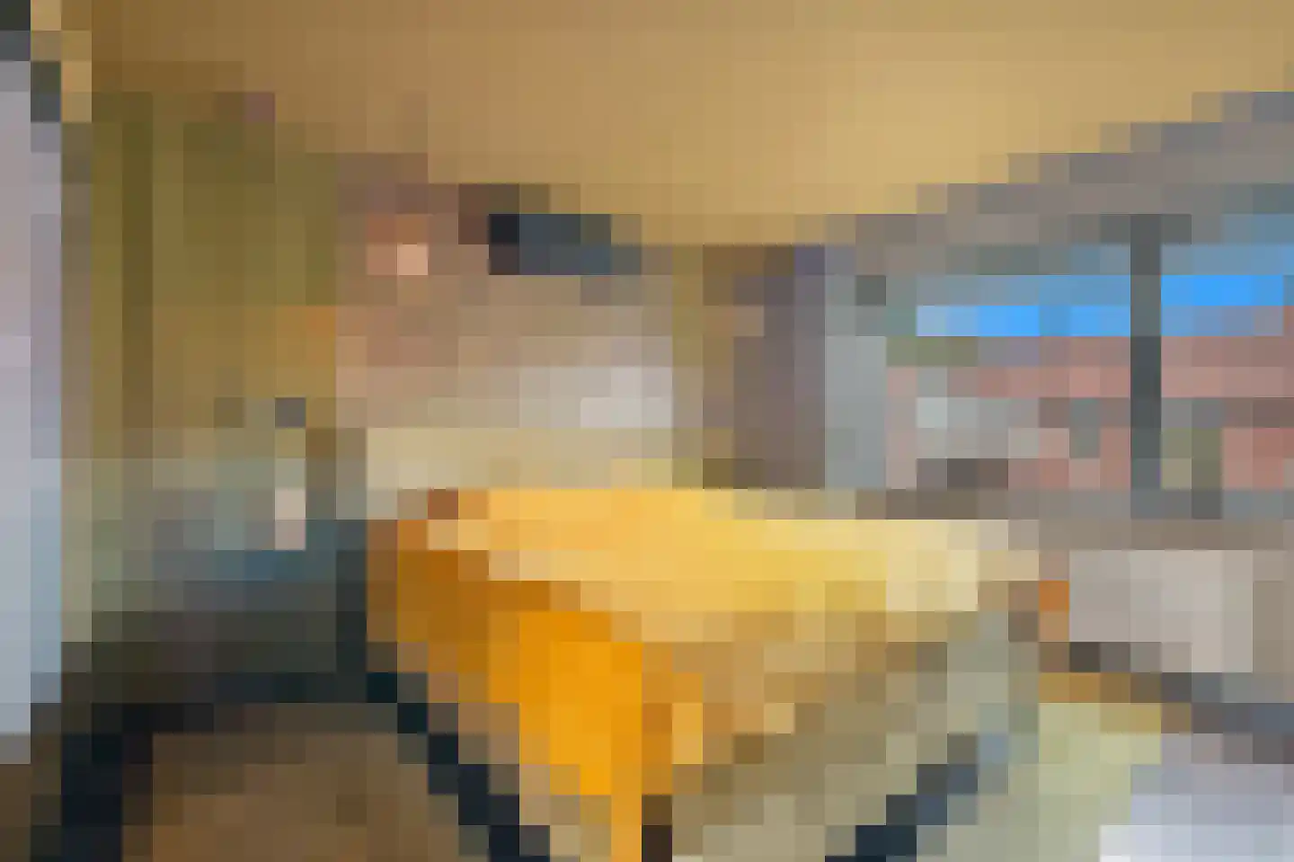 Willem de Zwijgerstraat 41 Maassluis thumbnail 37