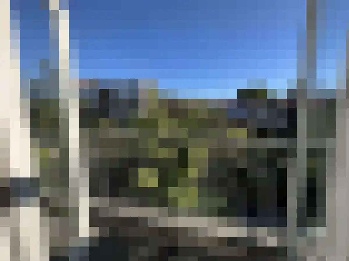 Willem de Zwijgerstraat 44 Rotterdam thumbnail 5