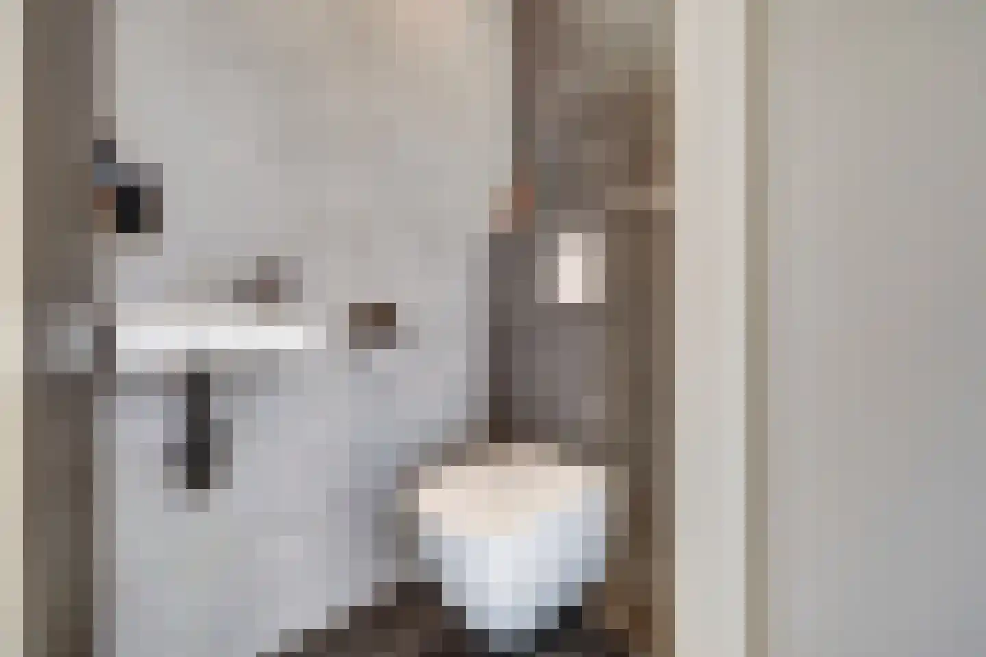 Willem de Zwijgerstraat 52 Rotterdam thumbnail 16