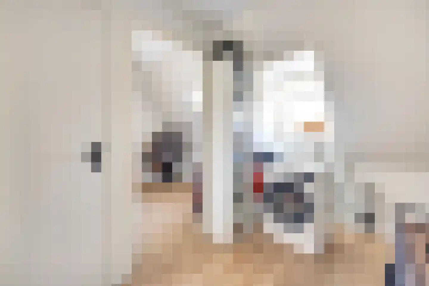 Willem de Zwijgerstraat 52 Rotterdam thumbnail 21