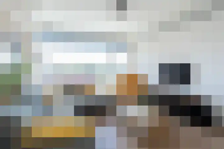 Willem de Zwijgerstraat 56 Hendrik-Ido-Ambacht thumbnail 8