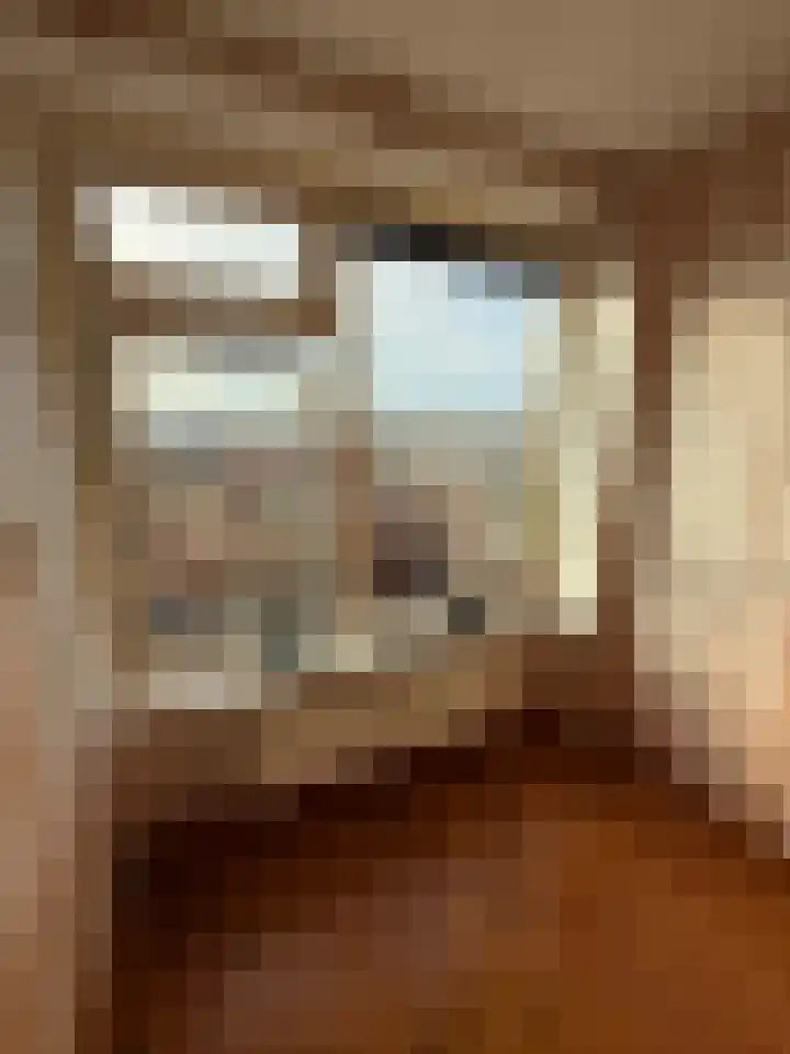 Willem de Zwijgerstraat 58 Hendrik-Ido-Ambacht thumbnail 23