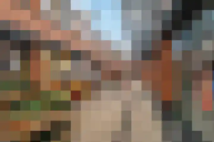 Willem de Zwijgerstraat 58 Hendrik-Ido-Ambacht thumbnail 37