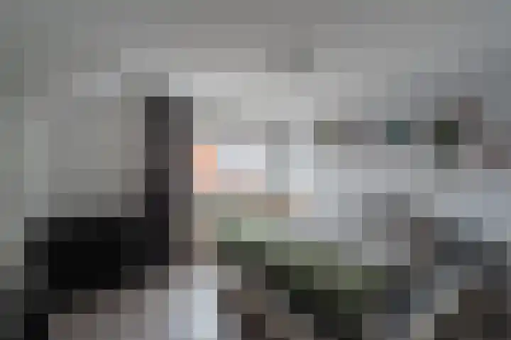 Willem de Zwijgerstraat 6 Kampen thumbnail 38
