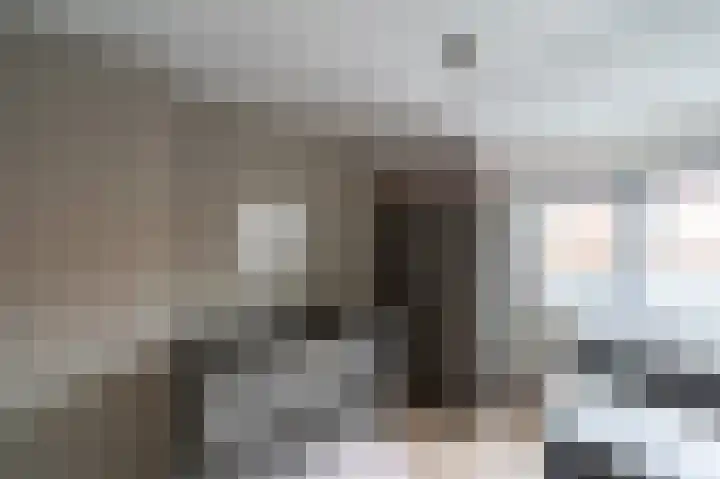Willem de Zwijgerstraat 6 Kampen thumbnail 41