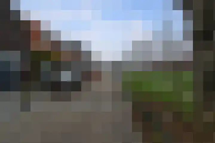 Willem de Zwijgerstraat 6 Kampen thumbnail 7