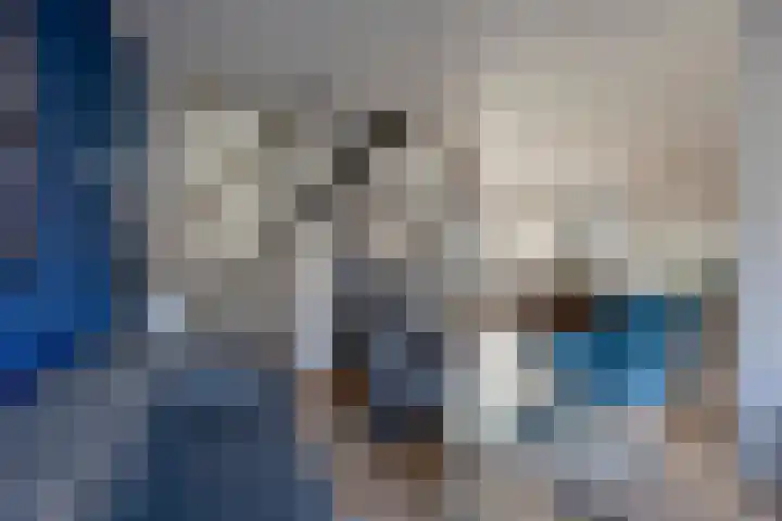 Willem de Zwijgerstraat 6 Panningen thumbnail 13