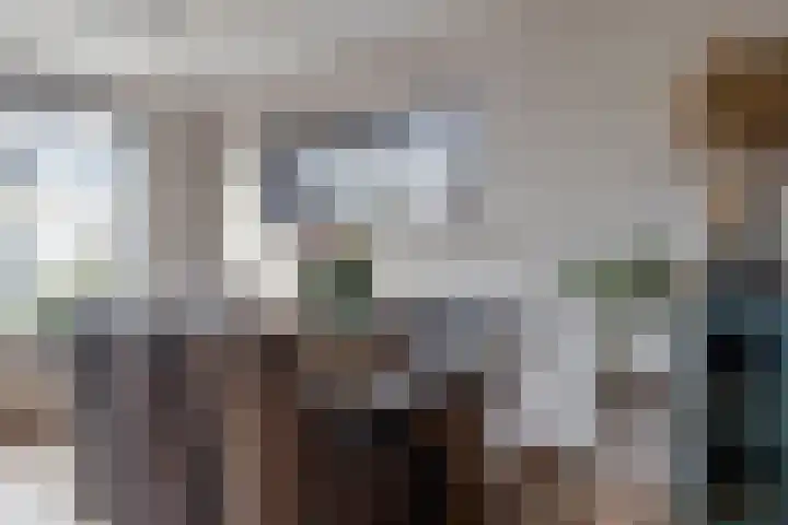 Willem de Zwijgerstraat 6 Panningen thumbnail 17