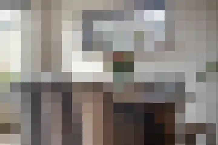 Willem de Zwijgerstraat 6 Panningen thumbnail 18
