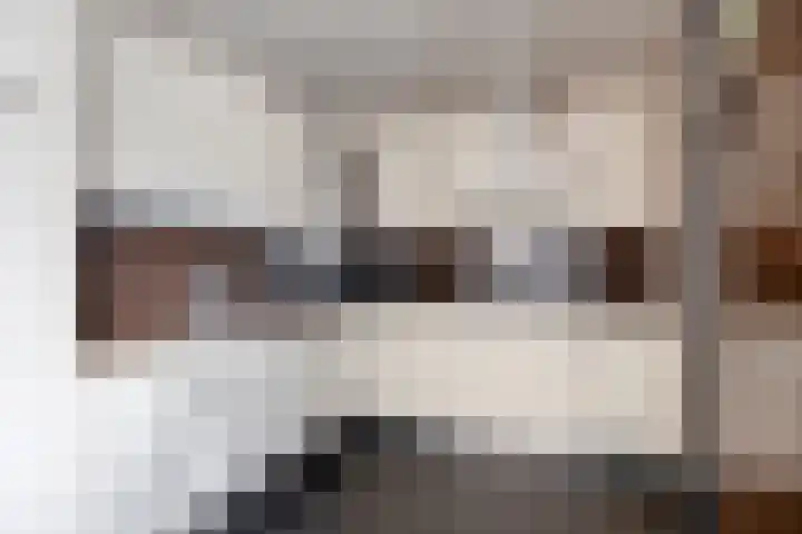 Willem de Zwijgerstraat 6 Panningen thumbnail 19