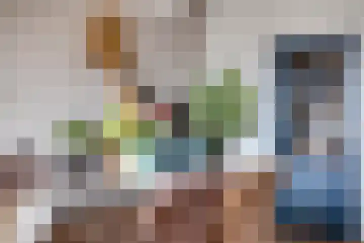 Willem de Zwijgerstraat 6 Panningen thumbnail 22