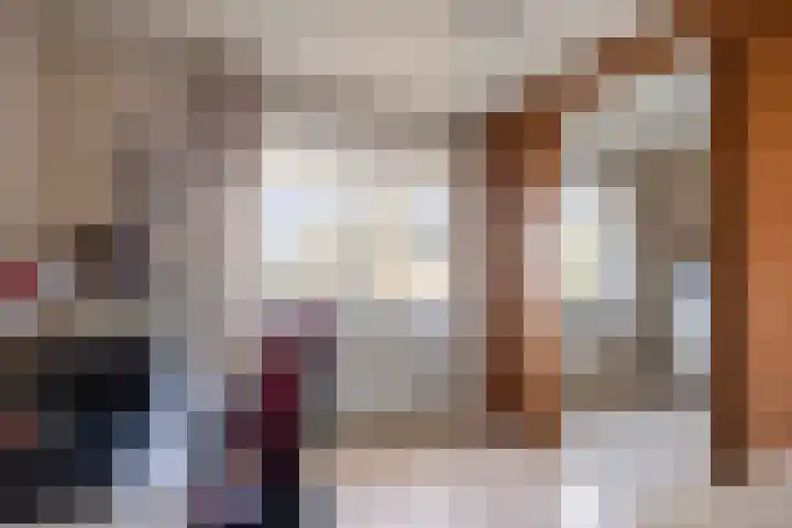 Willem de Zwijgerstraat 6 Panningen thumbnail 31