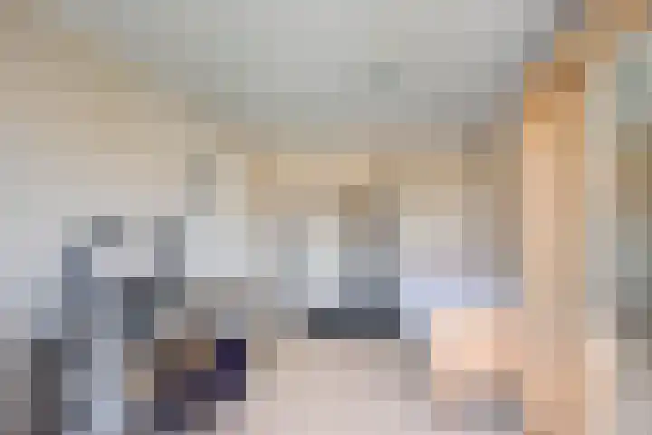 Willem de Zwijgerstraat 6 Panningen thumbnail 34