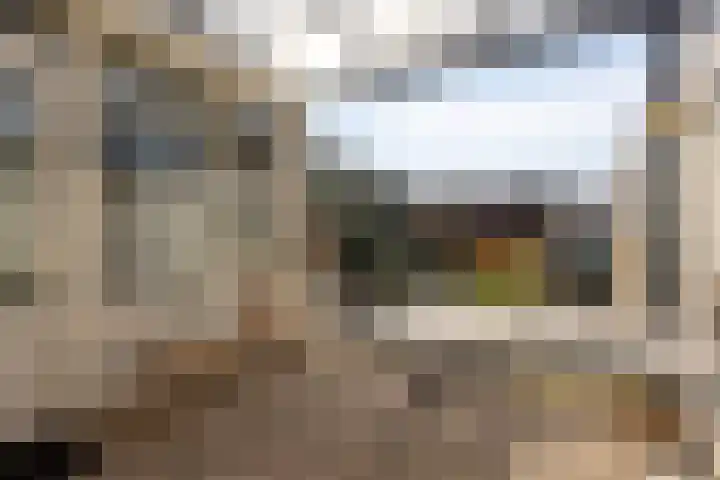 Willem de Zwijgerstraat 6 Panningen thumbnail 37