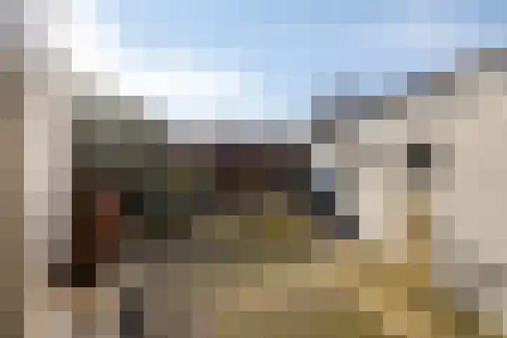 Willem de Zwijgerstraat 6 Panningen thumbnail 38