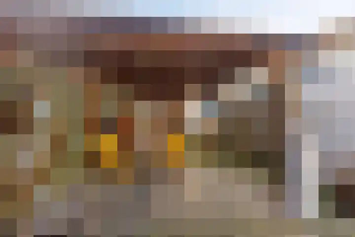 Willem de Zwijgerstraat 6 Panningen thumbnail 41